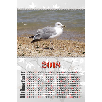 foto calendari 2018
