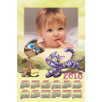 11152 foto calendario plastificato