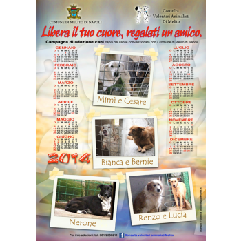 100 Calendari IBA