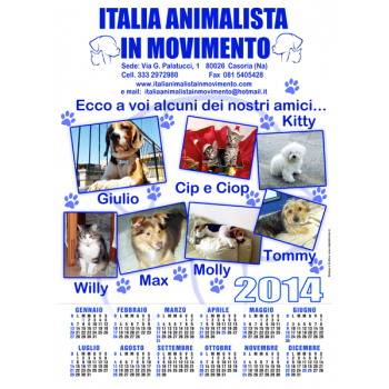 100 Calendari IBA