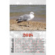 foto calendario