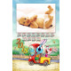 11107 fotocalendario